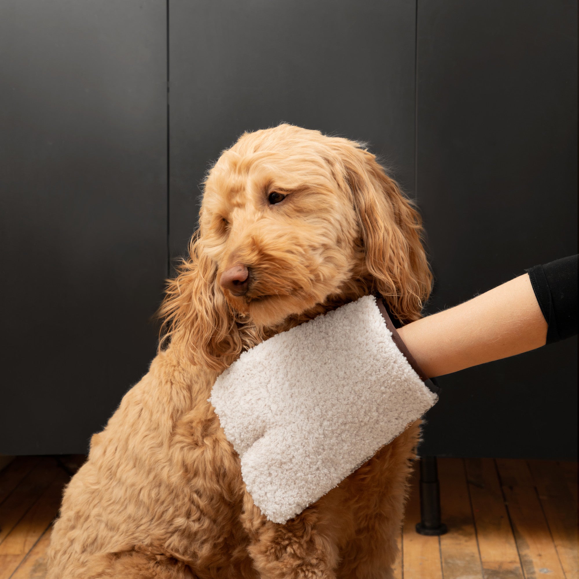 Pet Grooming & Massage Mitt