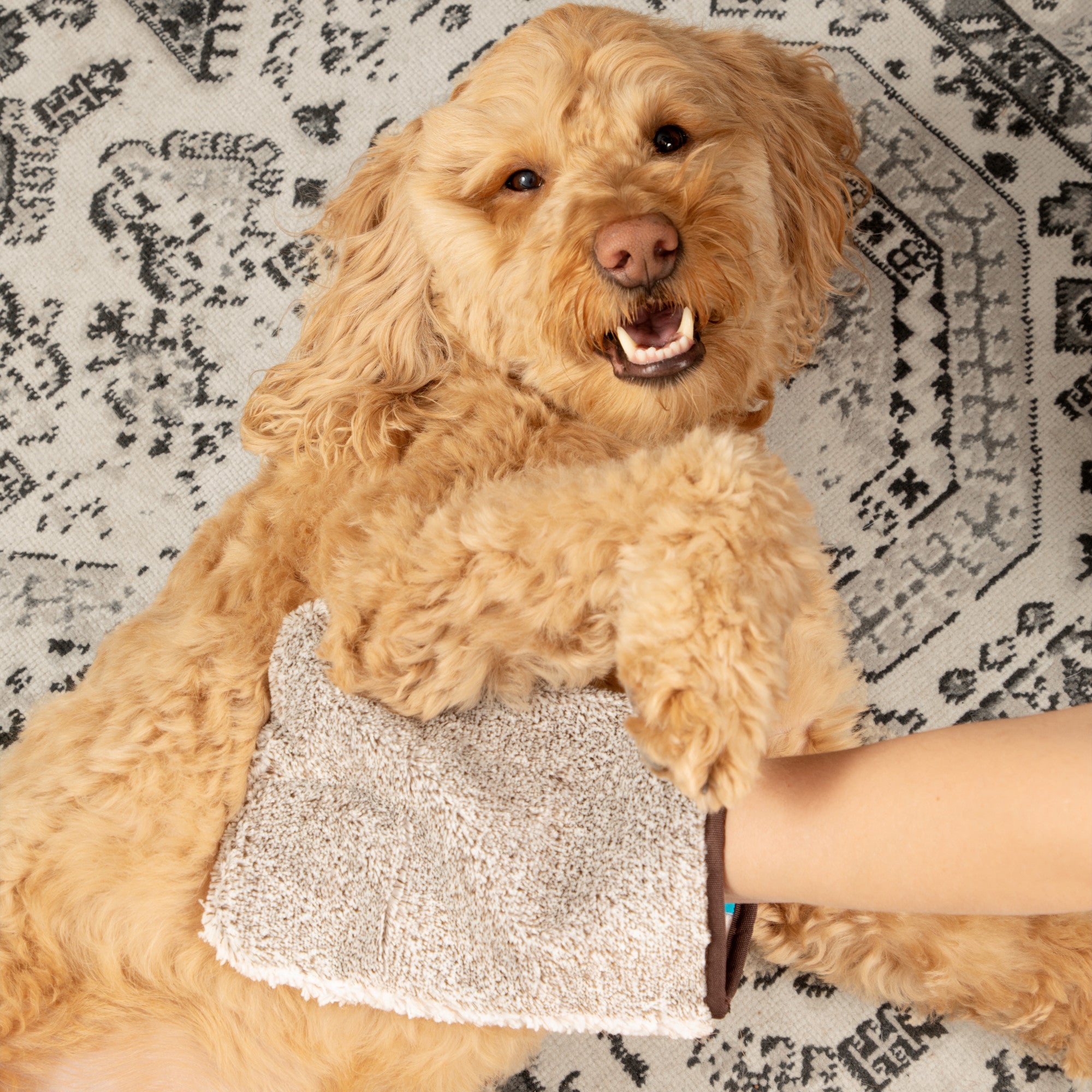 Pet Grooming & Massage Mitt
