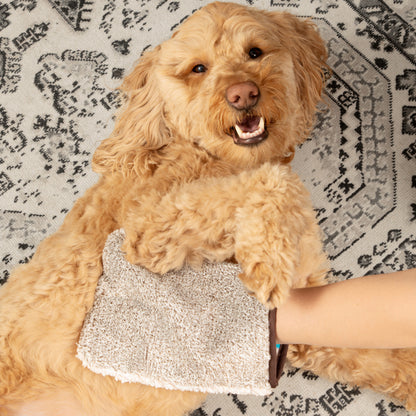 Pet Grooming & Massage Mitt